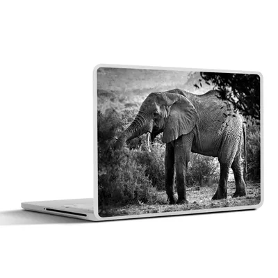 Produktbild von MuchoWow® Laptop Aufkleber Sticker Cover Profil eines Elefanten in schwarz-weiß 40x30 cm - Laptop Dekoration - Selbstklebend