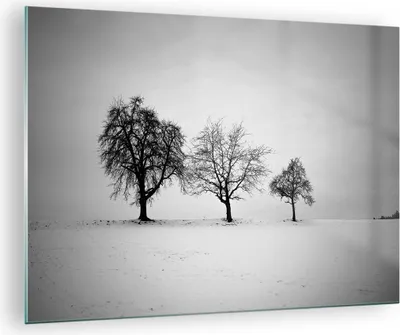 Produktbild von Bilder auf glas - Einteilig - Winter Bäume Schnee - 70x50cm - Glasbilder - Wandbilder - Bilder - zum Aufhängen bereit - Wanddekoration aus Glas - Glas Bilder - Wandbild auf Glas - GAA70x50-4958