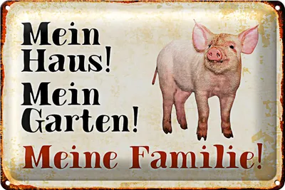 Produktbild von Blechschild Schwein 30x20cm mein Haus Garten meine Familie