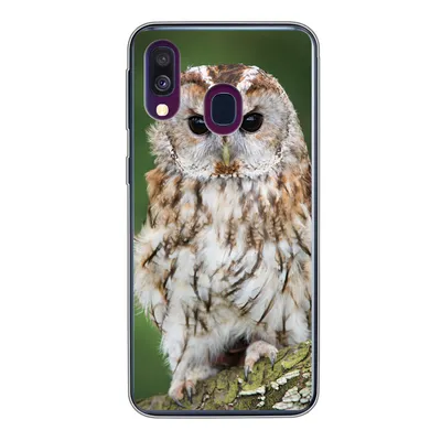 Produktbild von MuchoWow® Handyhülle Schutzhülle Hülle für Samsung Galaxy A40 Braune Eule sitzt auf einem Baum Silikon Softcase Handy Hülle - Handy-Tasche