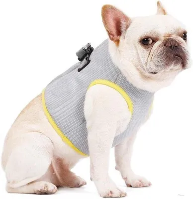Produktbild von Famanu Hundekühlweste - Atmungsaktiv und kühlend