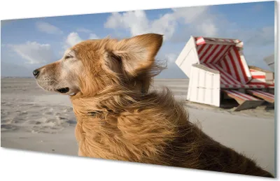 Produktbild von Glasbilder 120x60 Wandkunst Brown Hundestrand