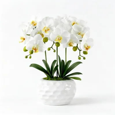 Produktbild von Omgoods – Kunstorchideen in Töpfen, weiße Phalaenopsis für die Innenraumgestaltung
