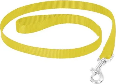 Obrázek produktu pro Vodítko nylon Žlutá DUVO+ 2,5 x 100 cm