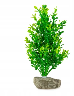 Produktbild von Aquarium Kunstpflanze, künstliche Aquarium Pflanze 20 cm, natürliche Dekoration mit Steinbeschwerung für Aquarium und Zierfische