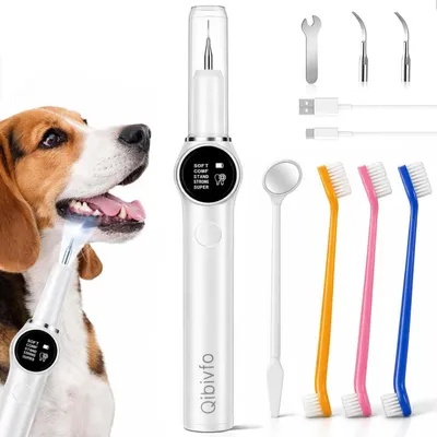 Produktbild von Zahnreinigungsset, 2 Aufsätze, 5 Modi, für Hunde und Katzen