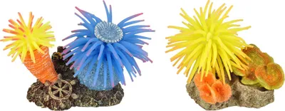 Produktbild von Flamingo Aquarium Dekoration Leo Anemone, Maße: 10 x 7 x 7 cm