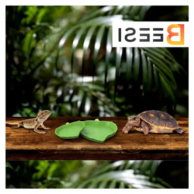 Produktbild von 2 Stück Reptilien Wasserschale, Futterschale für Terrarium und Außengehege
