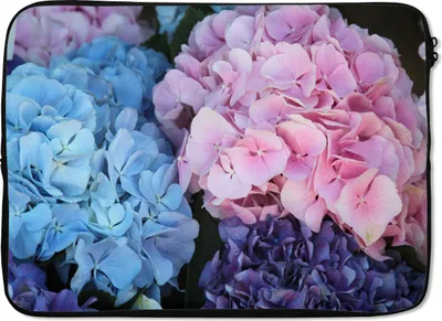 Produktbild von MuchoWow® Laptop Hülle 14 ZollBlumen - Strauch - Hortensie - Botanisch Laptoptasche - Laptoptasche - Stoßsicher - Schutzhaube