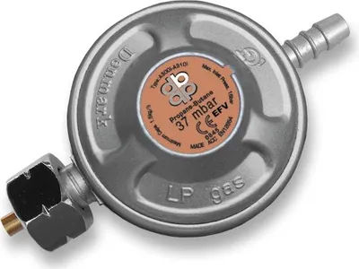Produktbild von Bradas RG A310IE
