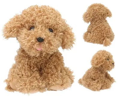 Imagen del producto de TOPModel, peluche de perro Holly, color beige claro, "FUR EVER FRIENDS", peluche, 16 cm, juguete de peluche para niños