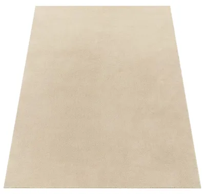 Image de Tapis lavable Salon Tapis à poils courts Unicolore Style moderne Doux