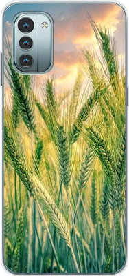 Image de Coque König Design compatible avec le Nokia G11 - Coque souple en plastique pour téléphone portable - Coque de téléphone portable Kornfeld