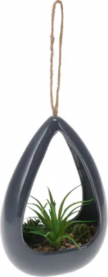 Image de Plante succulente artificielle suspendue 12 x 18 cm