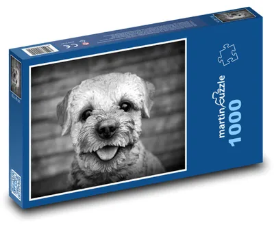 Produktbild von Puzzle 1000 Hundefreude - martinpuzzle