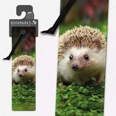 Zdjęcie produktu dla Zakładka 3D 15408 - Jeż