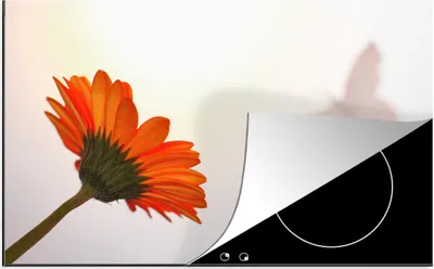 Produktbild von KitchenYeah© Herdabdeckplatte Gebera-Blume mit dem Schatten eines Schmetterlings , 91x52cm, Küche Deko, Glaskeramikkochfeld Herdabdeckung, Abdeckplatte fùr Kochfeld