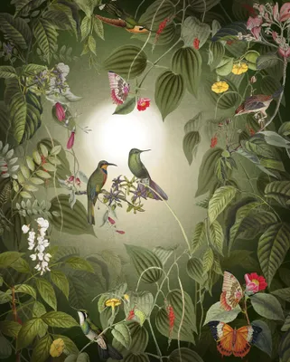 Produktbild von Komar Fototapete Blumen und Vögel Grün - 610009 - 200 x 250 cm