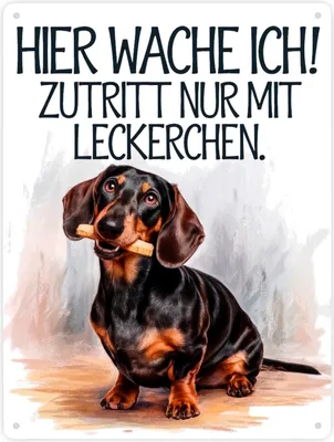 Produktbild von Zutritt nur mit Leckerchen Metallschild XXL in 28x38 cm Dackel
