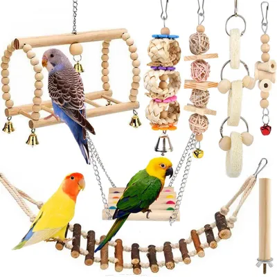 Produktbild von Vogelspielzeug Set 8-teilig für Papageien und Sittiche, bunt, mit Schaukel und Kauspielzeug