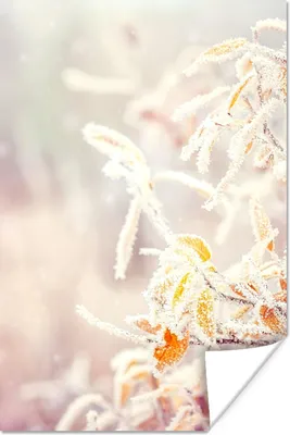 Produktbild von MuchoWow® Poster Winter - Äste - Schnee - Natur 80x120 cm - Papierdruck