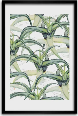 Produktbild von Bild - Bilderrahmen - 40 cm x 60 cm - MDF - Rahmen - Wandkunst - Aloe