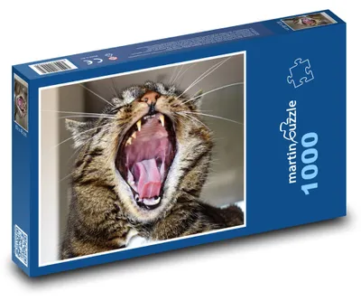 Zdjęcie produktu dla Puzzle 1000 Ziewający kot - martinpuzzle