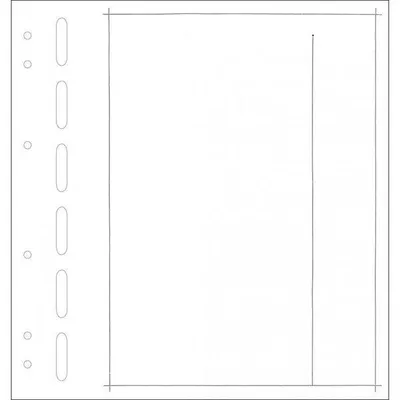 Produktbild von Schaubek Blankoblätter Reprint - Packung mit 10 Blatt