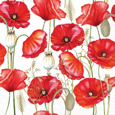 Produktbild von Servietten Papier 33x33cm 3-lagig mit Mohnblumen Motiv 20 Stück