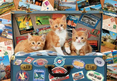 Produktbild von Educa - Katzen im Reisekoffer 200 Teile Puzzle