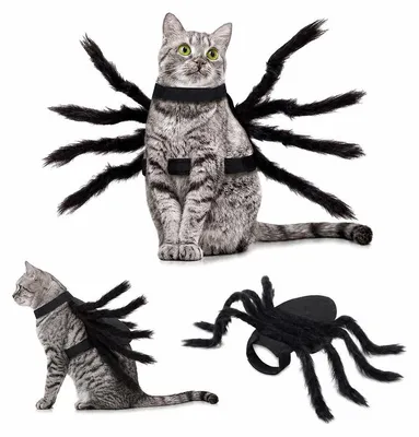 Produktbild von Haustier‑Spinnen‑Kostüm Größe L, Plüsch Verkleidungsgeschirr für Katzen und kleine Hunde, Halloween Weihnachten Party Outfit