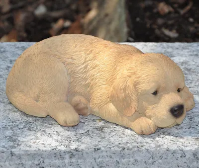 Produktbild von Dekofigur Gartenfigur Golden Retriever