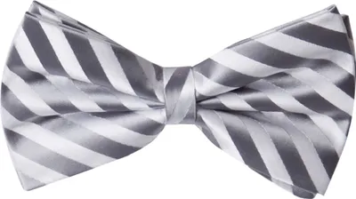 Produktbild von Fabio Farini - 1 Stück Graue Herren Fliegen - Männer Querbinder Vorgebunden Bowtie Streifen - Grau/Weiß - Iron Ore/Weeping Pear