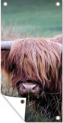 Produktbild von MuchoWow® 40x80 cm Outdoor-Poster Gartendeko Sichtschutz Garten Poster für den Garten  Schottischer Highlander - Hörner - Gras