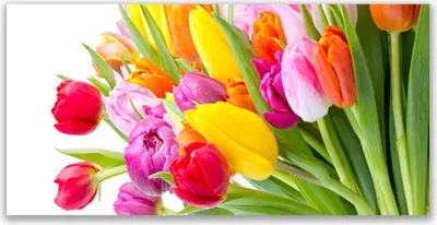 Produktbild von Glasbilder 140x70 Wandbild Druck auf Glas Tulpen Pflanzen