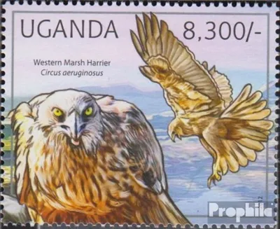 Produktbild von Briefmarken Uganda 2012 Mi 2794 (kompl.Ausg.) postfrisch Greifvögel