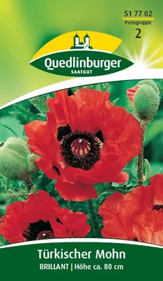 Produktbild von Quedlinburger Saatgut - Türkischer Mohn Brilliant - Samen - 517702