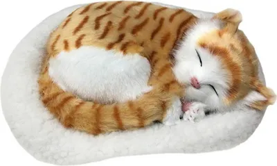 Produktbild von Realistische schlafende Katze Spielzeug Atmende Katze Plüschtier Puppe mit Matte Plüsch Spielzeug für Kinder Home Ornament