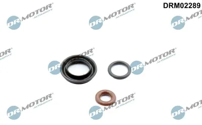 Produktbild von DR.MOTOR AUTOMOTIVE DRM02289 Dichtungssatz Einspritzdüse für VOLVO V70 II (285)