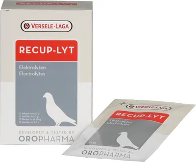 Produktbild von Versele Oropharma Recup-Lyt 240 gr.