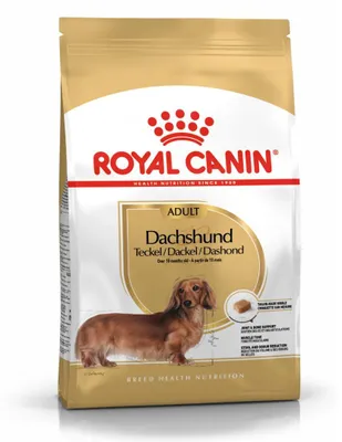 Zdjęcie produktu dla Royal Canin Dachshund Adult, Dorosły, Jamnik, Mini (5 - 10 kg), XS (<4 kg), 1,5 kg