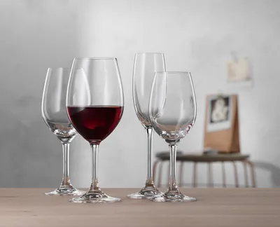 Obrázek produktu pro Sklenice na víno Spiegelau Universal 4 sklenice 402/32 Festival 4020286