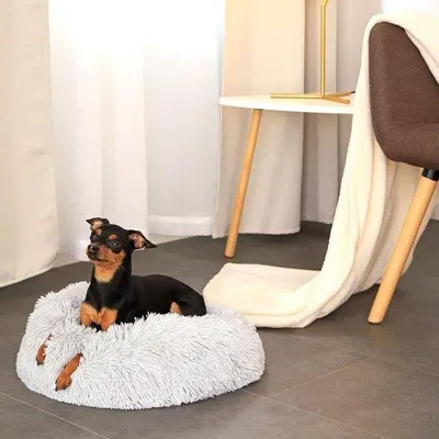 Produktbild von Famanu Donutbett für Hunde und Katzen - Plüsch Rundbett für kleine und große Haustiere (S) 40 cm Ø