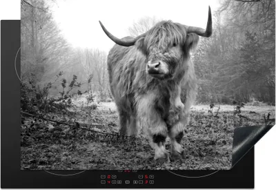 Produktbild von KitchenYeah© Herdabdeckplatte Schottischer Highlander - Wald - Nebel - Kuh - Tiere - Natur , 78x52cm, Küche Deko, Glaskeramikkochfeld Herdabdeckung, Abdeckplatte fùr Kochfeld