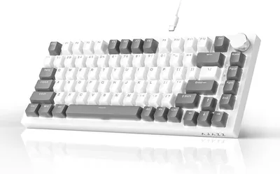 Produktbild von Mechanische Gaming-Tastatur 75% Hot-Swap Kabelgebunden, 82 Tasten, PBT Keycaps, Lautstärkeregler, Geräuschdämmung, Ergonomisch, Lineare Schalter