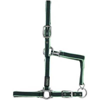 Produktbild von USG Halfter Classic