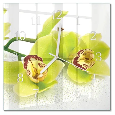 Produktbild von Tulup Glasuhr Wanduhr Küchenuhr Echt-Glas 30x30 cm Modern Dekorativ Geräuschlos Weiße Zeiger - Orchidee