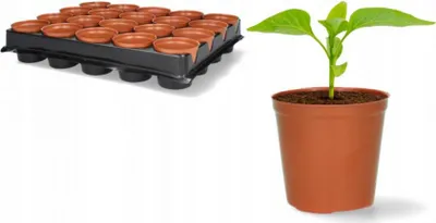 Immagine prodotto di Vaso per piantine con tazza 7x7x8 cm EDA3289