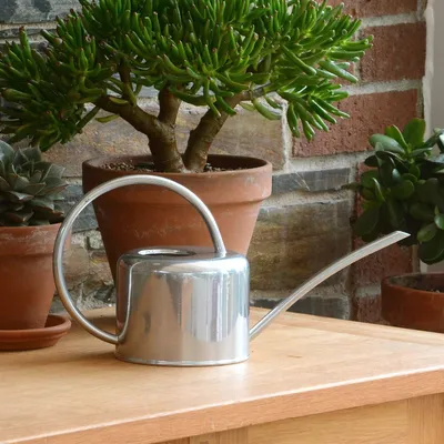 Image de Solidchoice - Petite arrosoir en acier émaillé, 1,1 litre