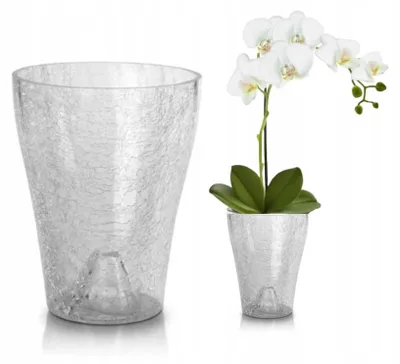 Produktbild von Glas-Orchideentopf Transparent 16x14cm Elegantes Design